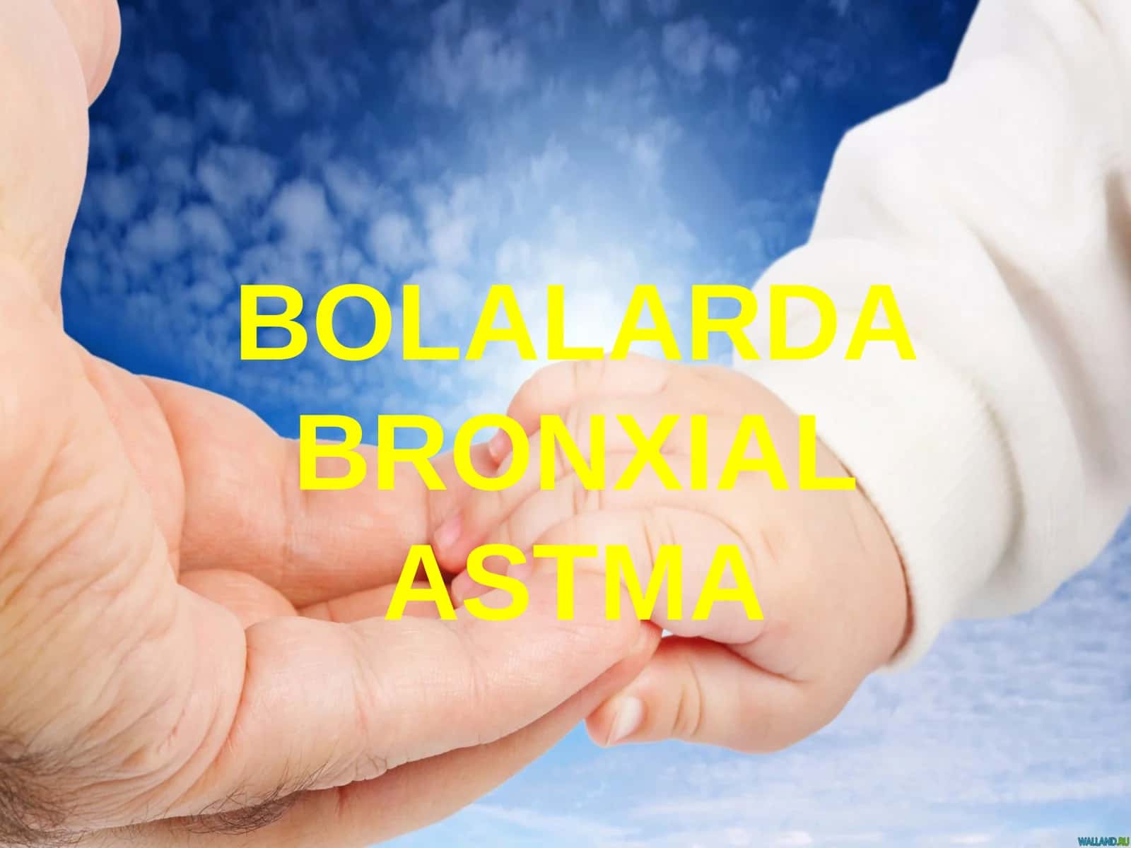 BOLALARDA BRONXIAL ASTMA 1