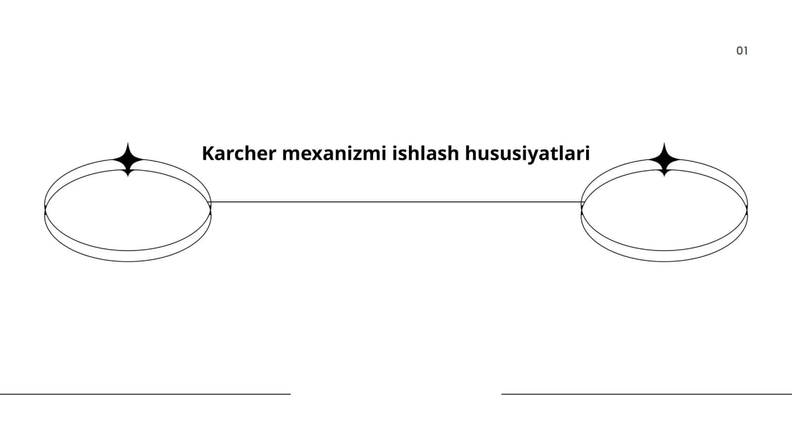 Karcher mexanizmi ishlash hususiyatlari 1