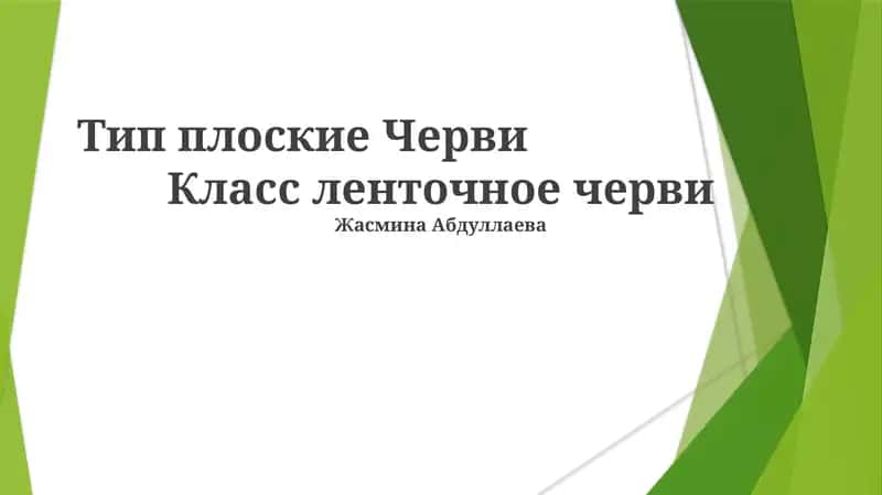 Жасмина Абдуллаева 1