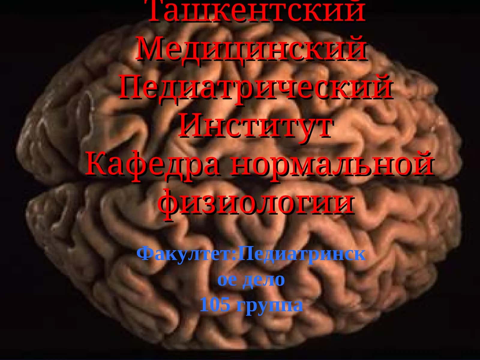 Нейрофизиология 1
