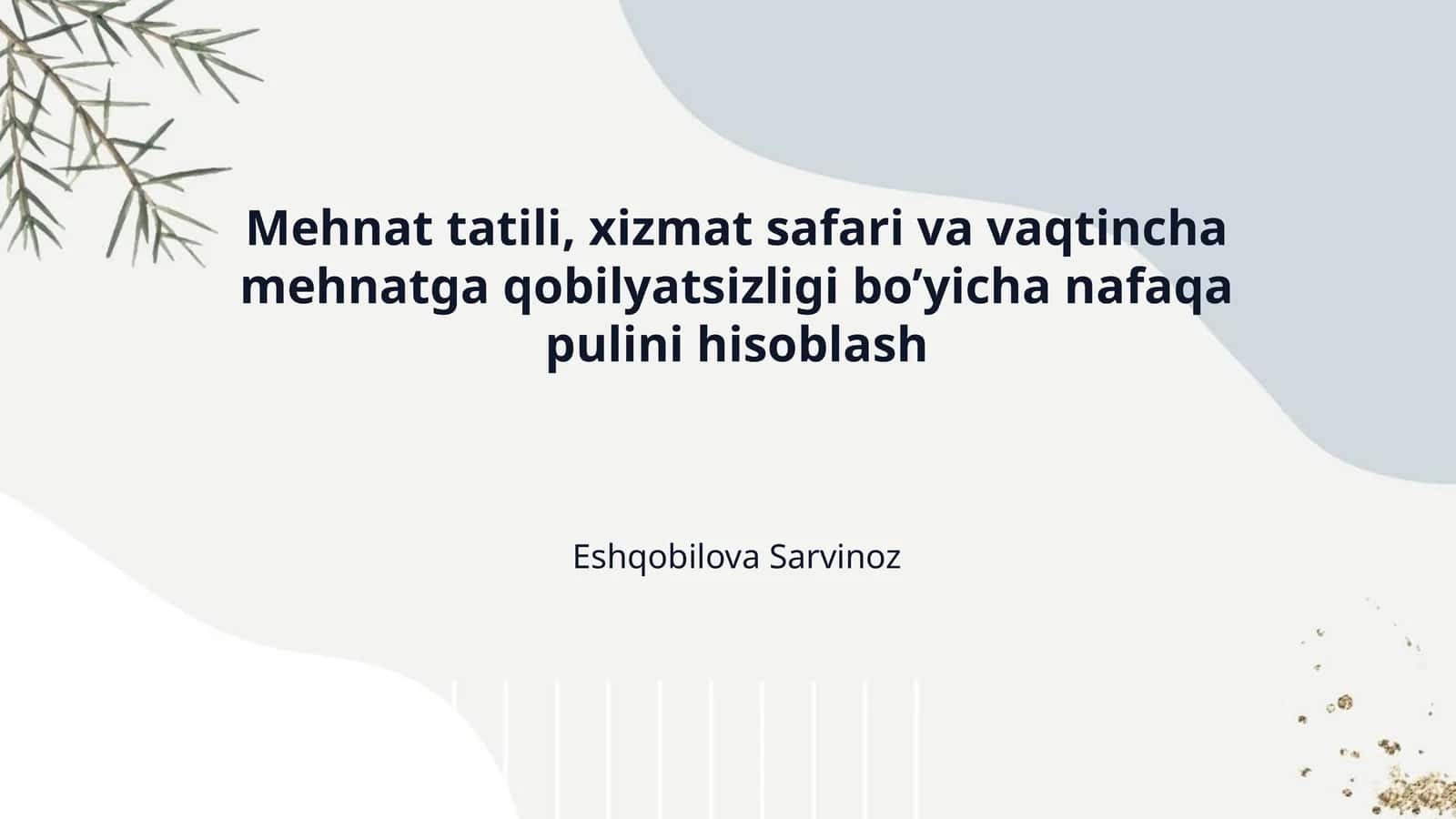 Mehnat tatili, xizmat safari va vaqtincha mehnatga qobilyatsizligi bo’yicha nafaqa pulini hisoblash 1