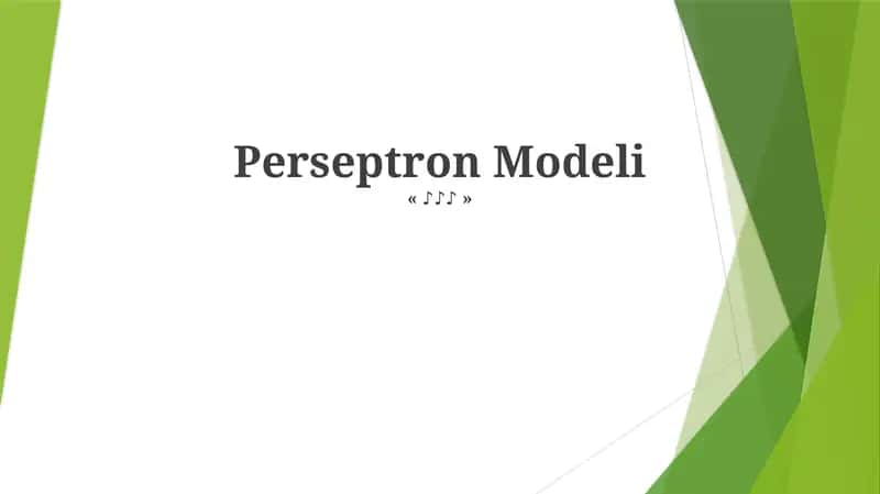 Perseptron Modeli 1
