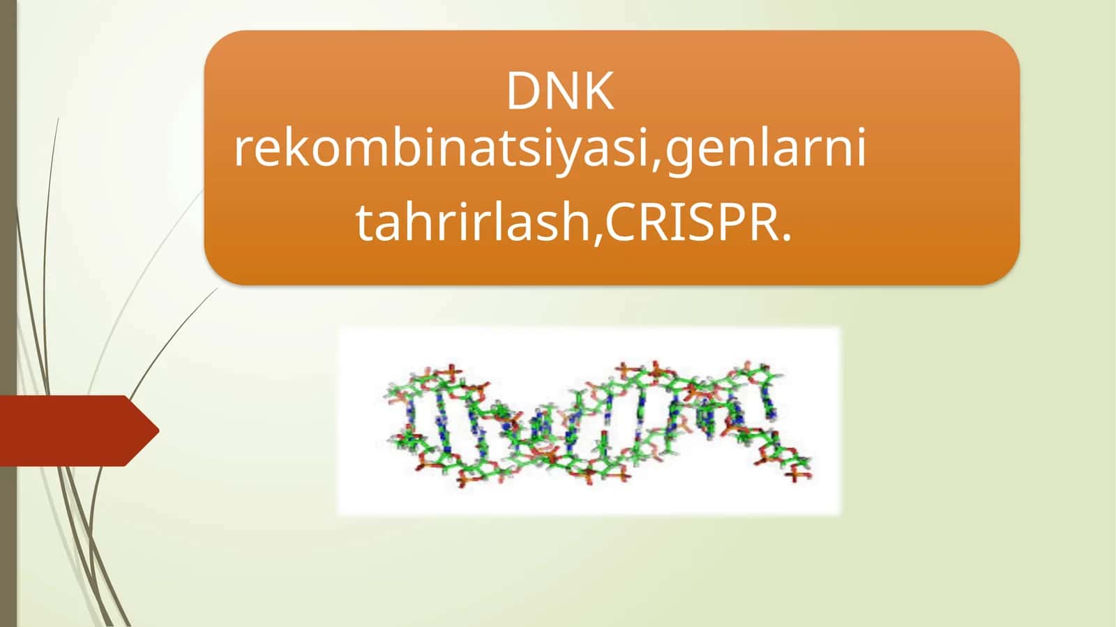 DNK rekombinatsiyasi, genlarni tahrirlash. CRSIPR 1