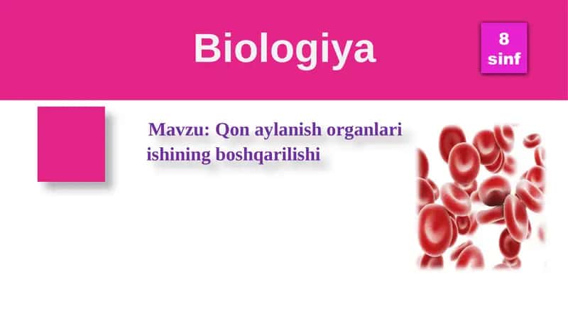 Qon aylanish organlari ishining boshqarilishi 1