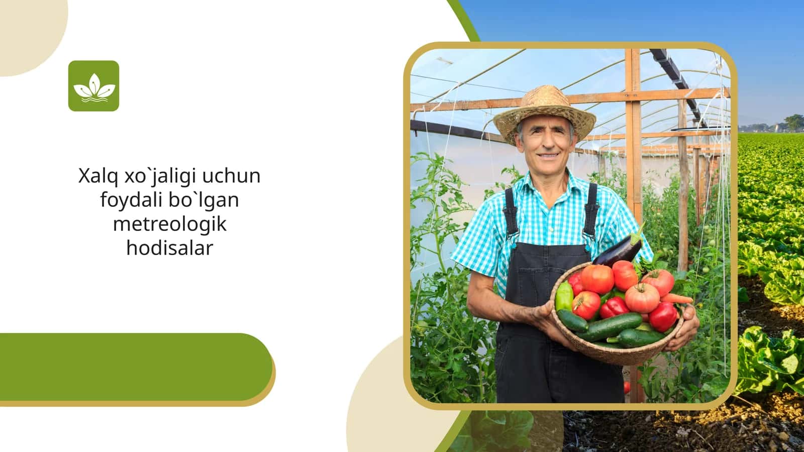 Xalq xo`jaligi uchun foydali bo`lgan metreologik hodisalar 1
