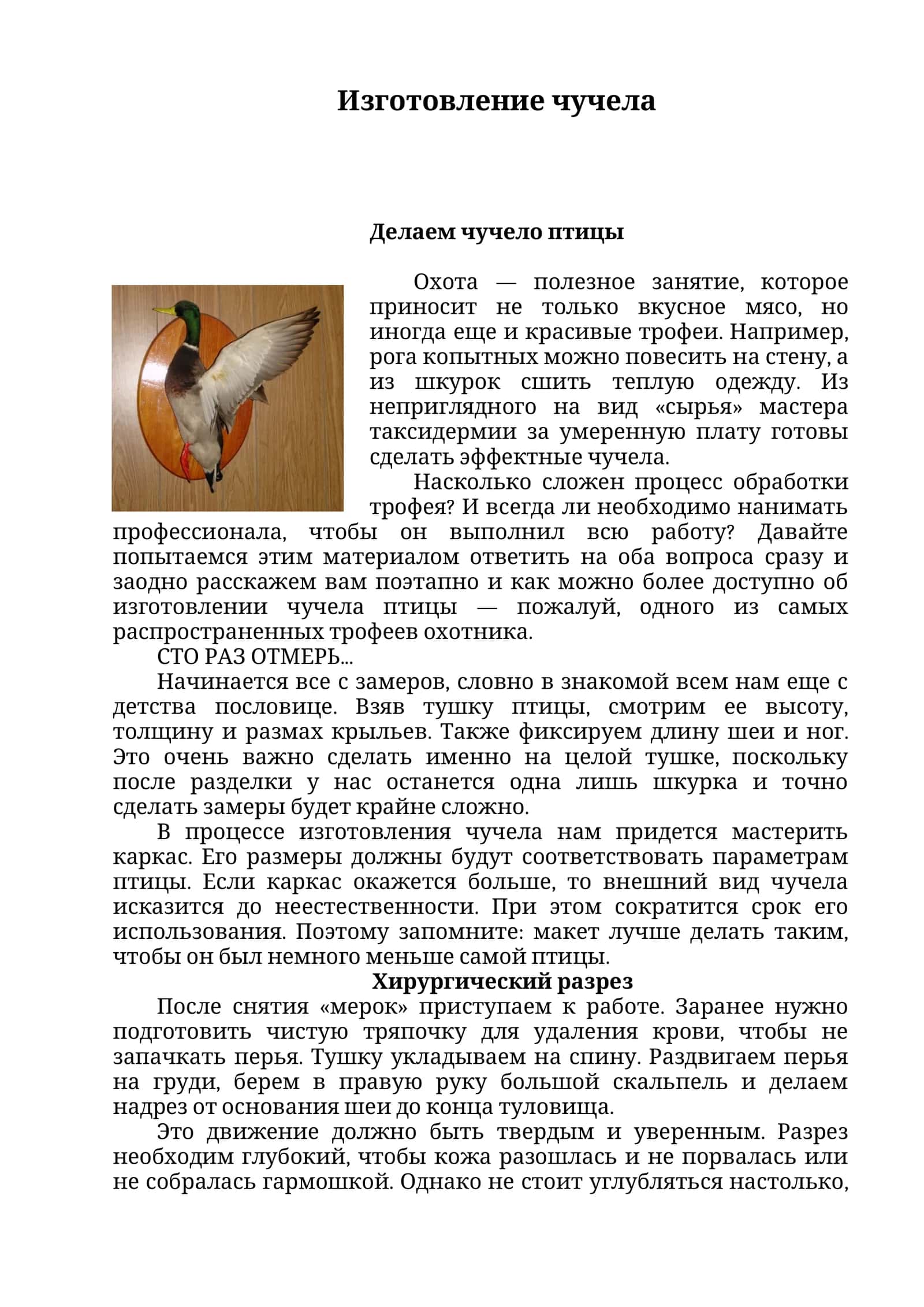 Изготовление чучела 1