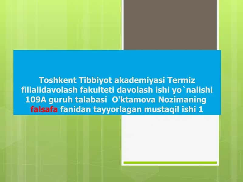 Falsafa fanidan tayyorlagan mustaqil ish 1