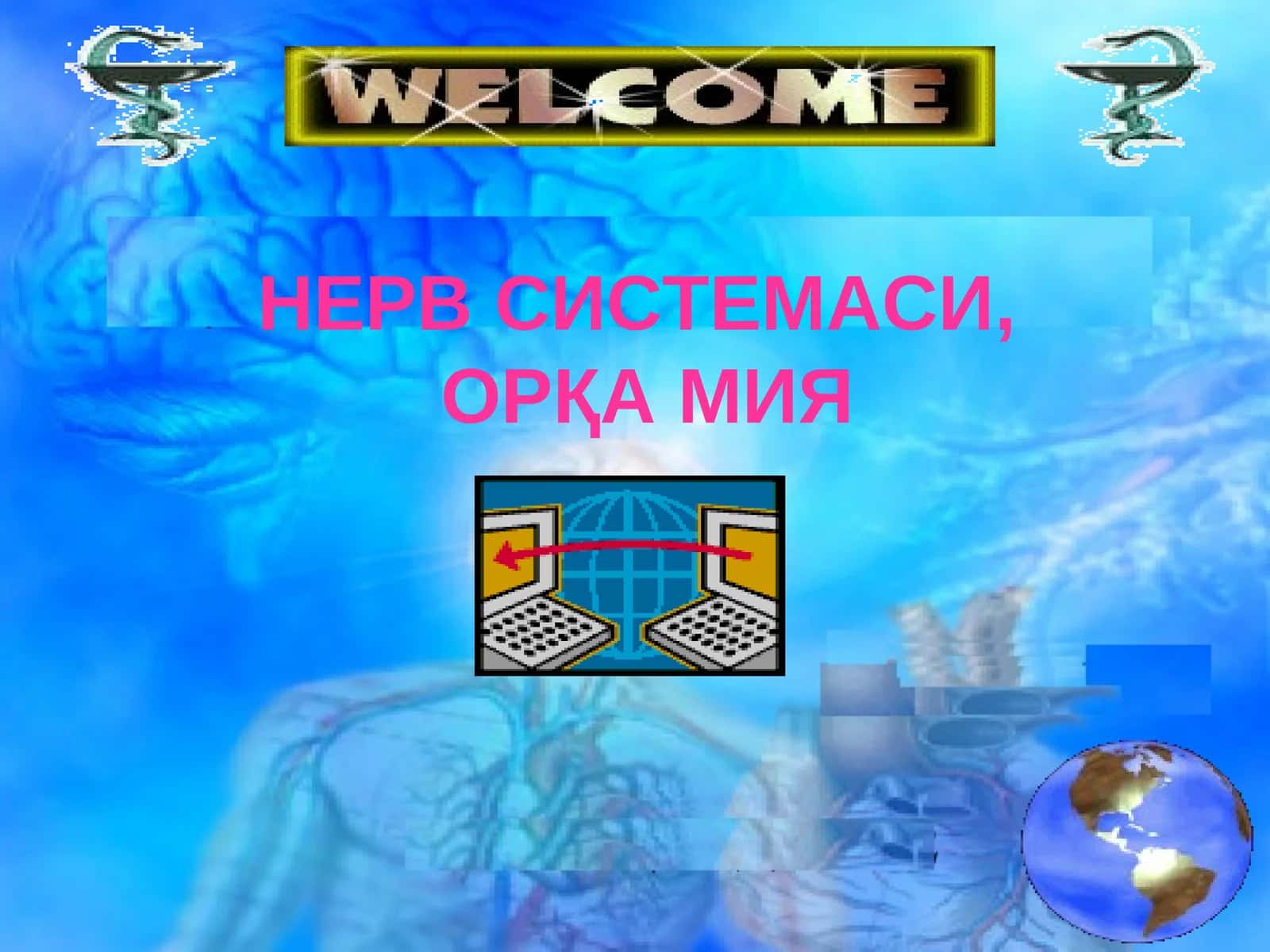 НЕРВ СИСТЕМАСИ 1