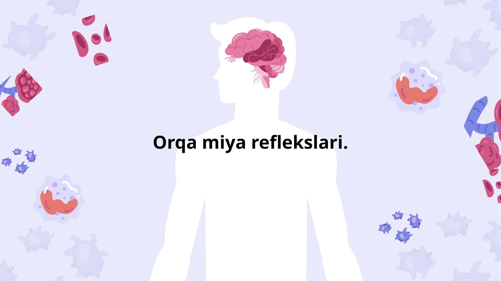 Orqa miya reflekslari 1