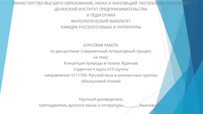 Курсовая работа по дисциплине: Современный литературный процесс 1