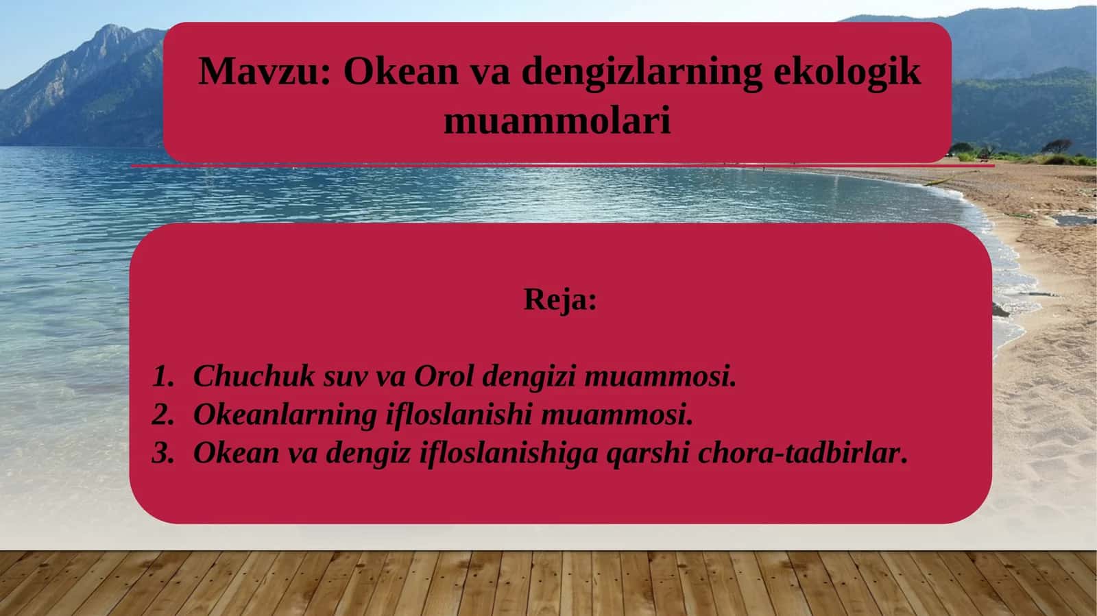 Okean va dengizlarning ekologik muammolari 1