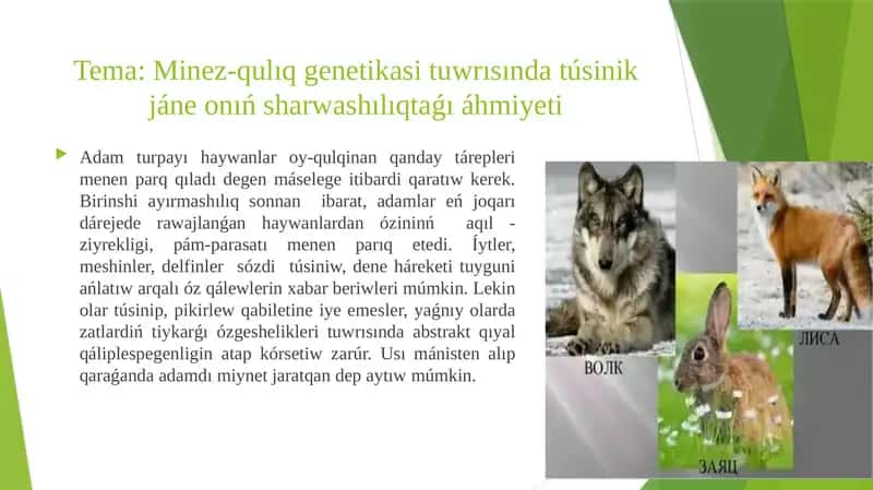 Minez-qulıq genetikası 1