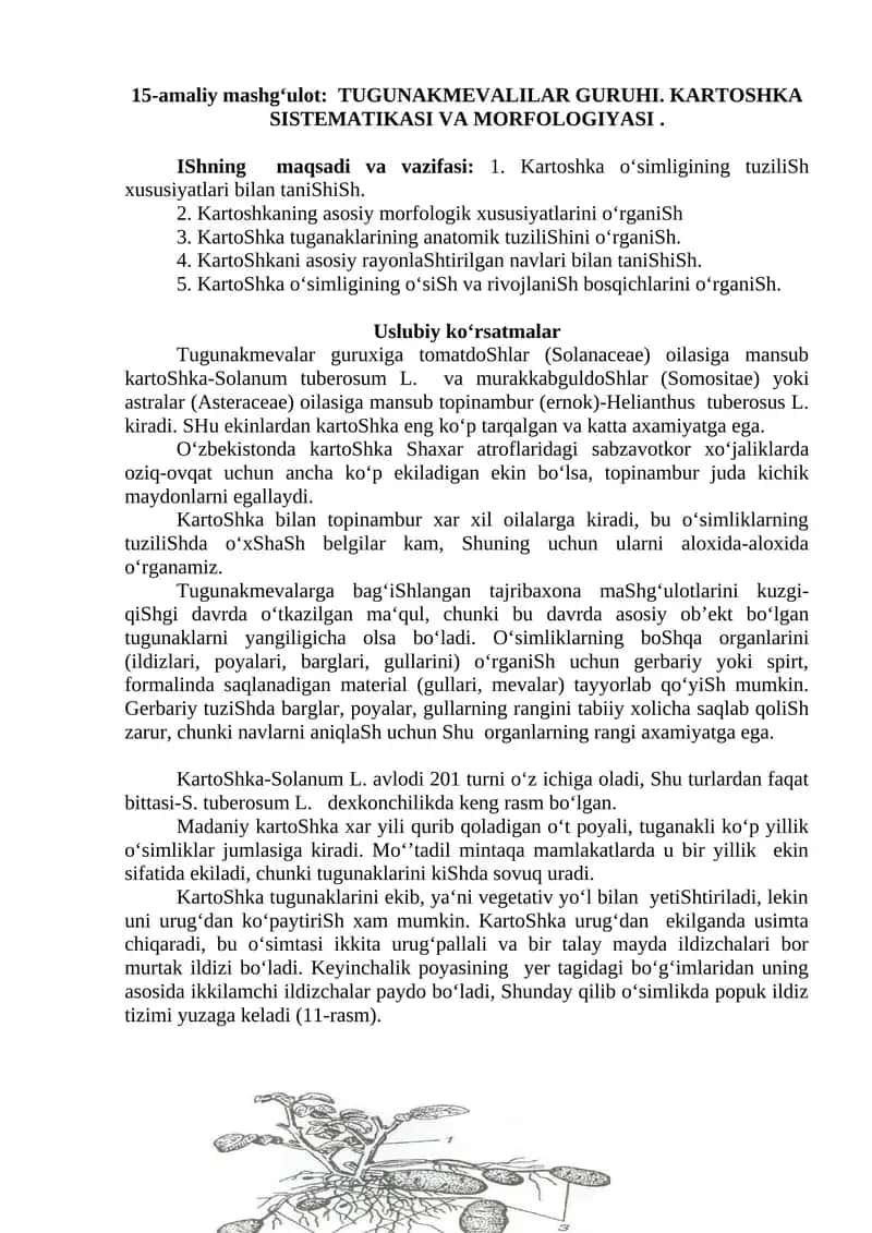 TUGUNAKMEVALILAR GURUHI 1