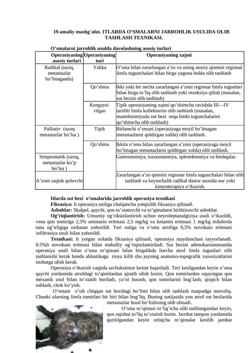 ITLARDA O’SMALARNI JARROHLIK USULIDA OLIB TASHLASH TEXNIKASI 1