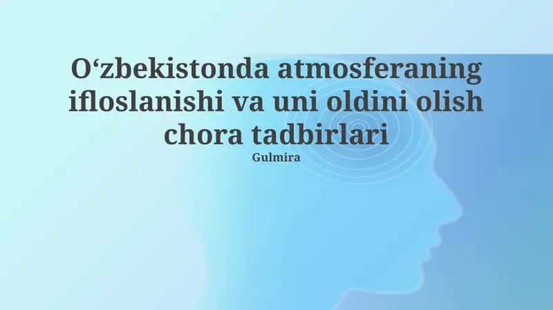 O'zbekistonda havo ifloslanishi: Manbalar, Ta'sirlar va Monitoring 1