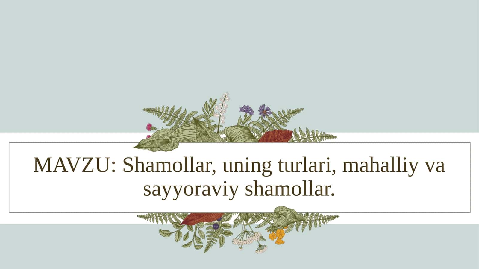 Shamollar, uning turlari, mahalliy va sayyoraviy shamollar 1