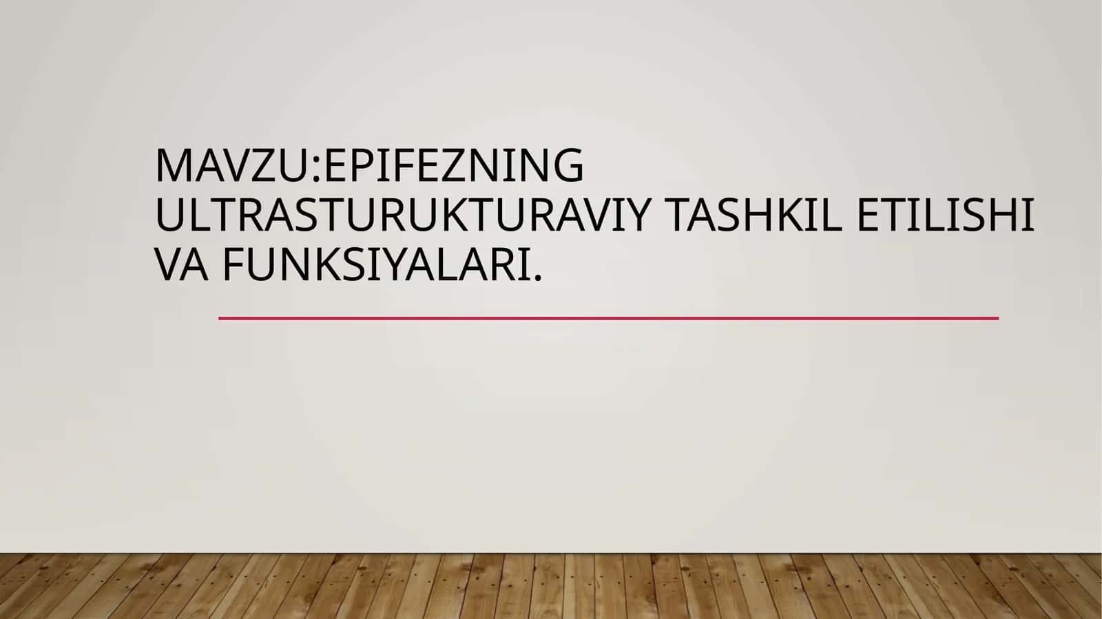 Epifezning ultrasturukturaviy tashkil etilishi Va funksiyalari 1
