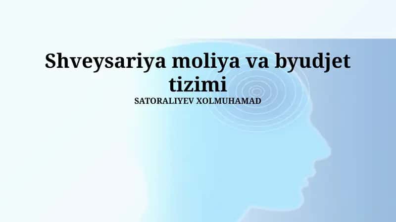 Shveysariya moliya va byudjet tizimi 1