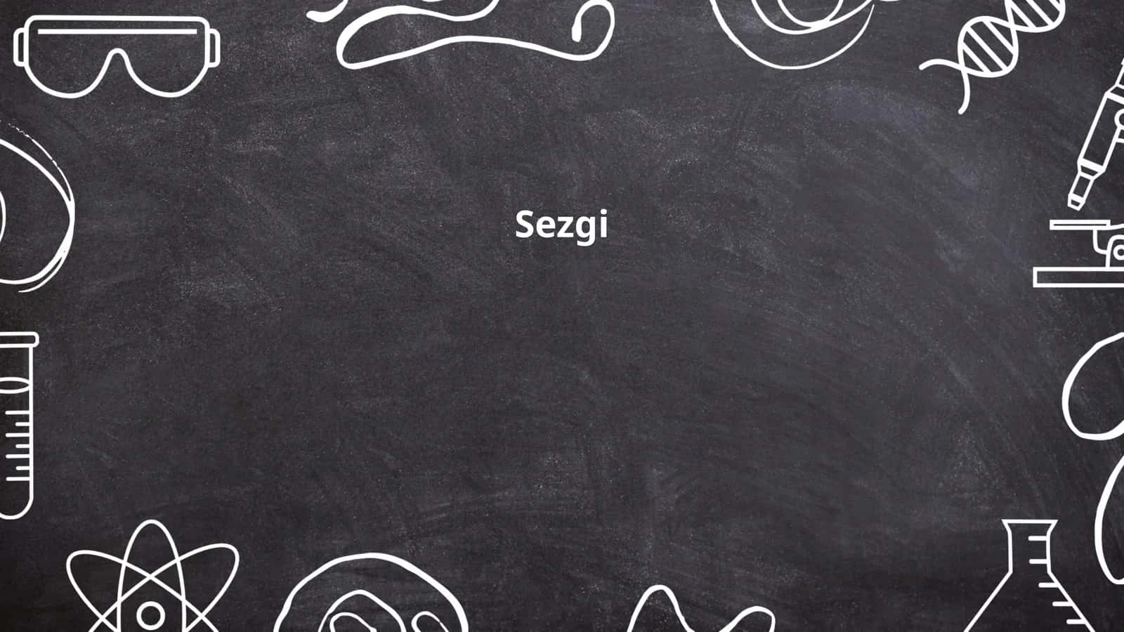 Sezgi 1