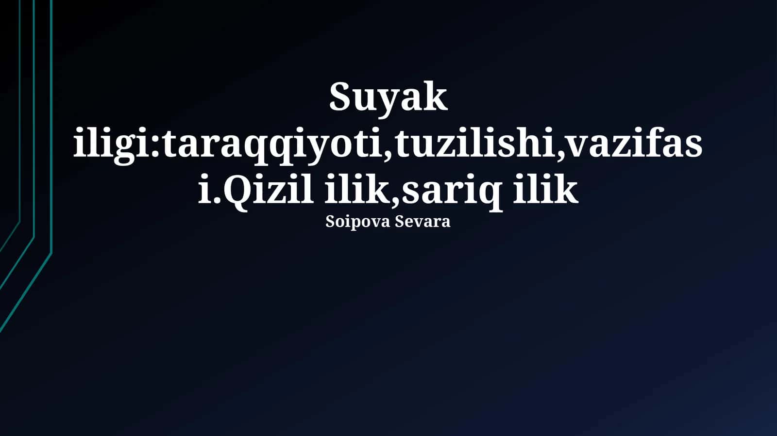 Suyak iligi 1