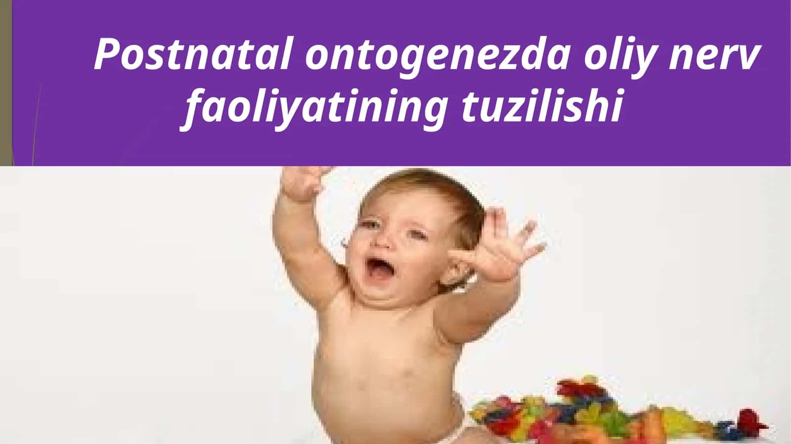 POSTNATAL ONTOGENEZDA OLIY NERV FAOLIYATINING TUZILISHI 1