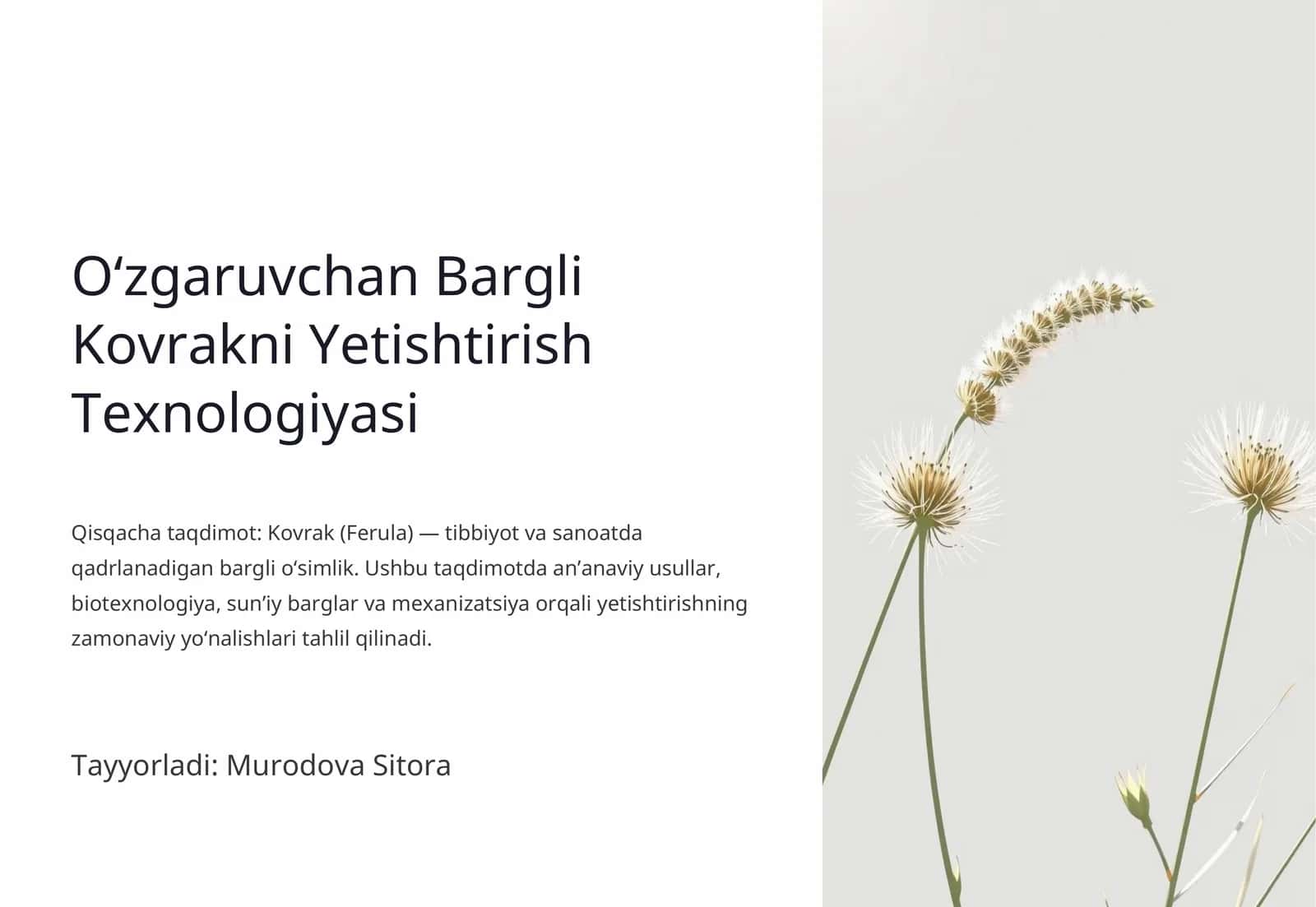 Oʻzgaruvchan Bargli Kovrakni Yetishtirish Texnologiyasi 1
