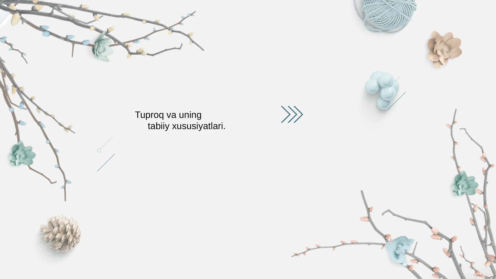 Tuproq va uning tabiiy xususiyatlari 1