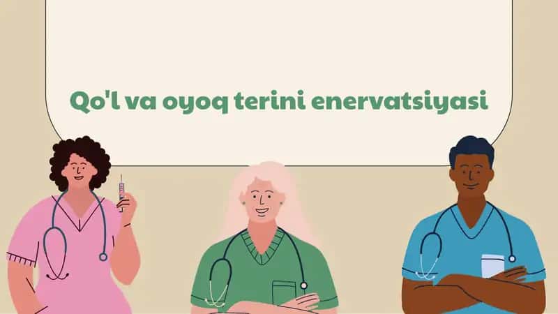 Qo'l va oyoq terini enervatsiyasi 1
