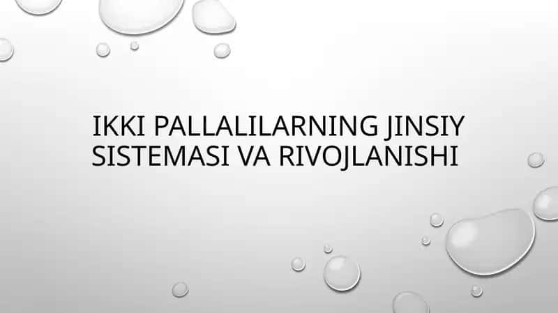 Ikkipallalilarning jinsiys sistemasi va rivojlanishi 1