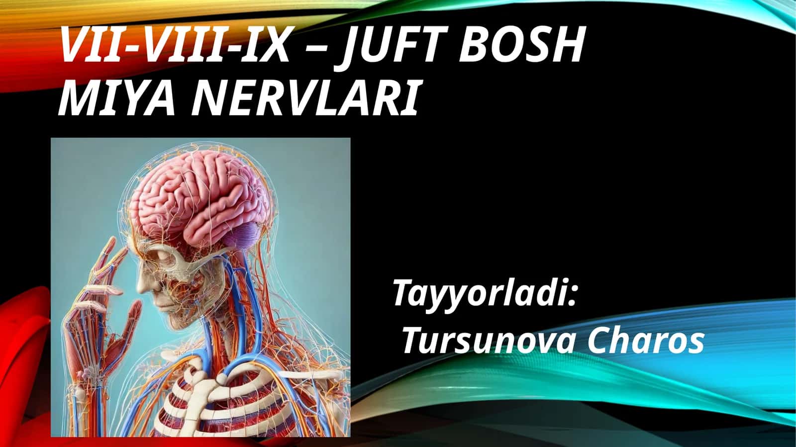 VII-VIII-IX –juftboshmiyanervlari 1