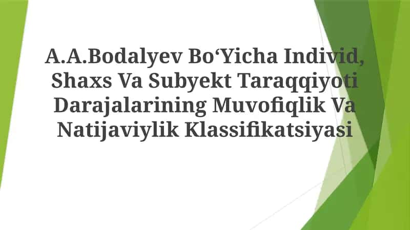 A.A.Bodalyev BoʻYicha Individ, Shaxs Va Subyekt Taraqqiyoti Darajalarining Muvofiqlik VaNatijaviylikKlassifikatsiyasi 1
