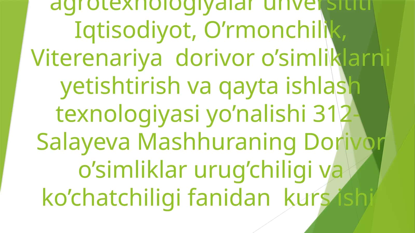 Shirinmiya-(Chuchukmiya), (Solodkagoloya)GlyeyrrhizaglabraL.o’simliginiurug’chiligivako’chatchiligitaxlili 1