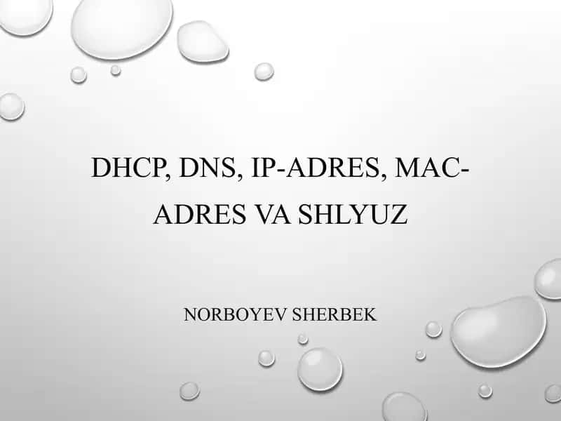 DHCP (Dynamic Host Configuration Protocol) 1