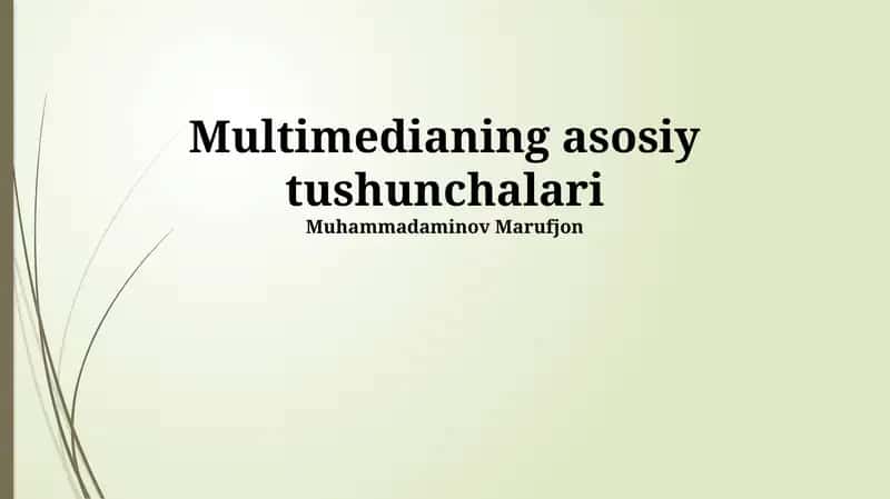 Multimedia formatlari 1