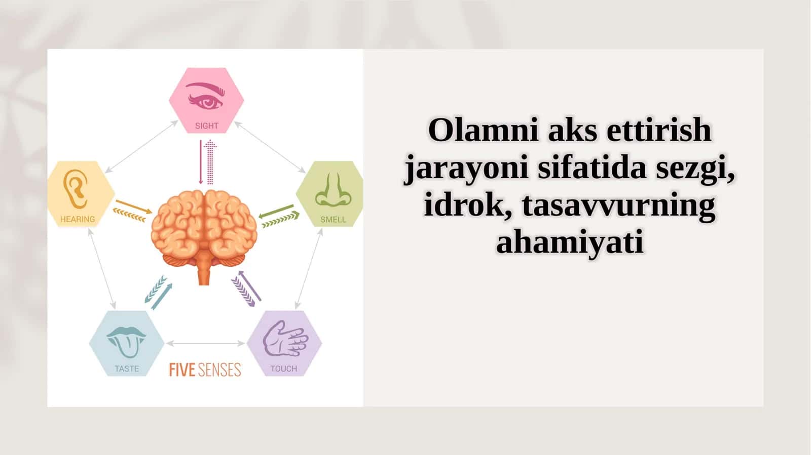 Olamni aks ettirish jarayoni sifatida sezgi, idrok, tasavvurning ahamiyati 1