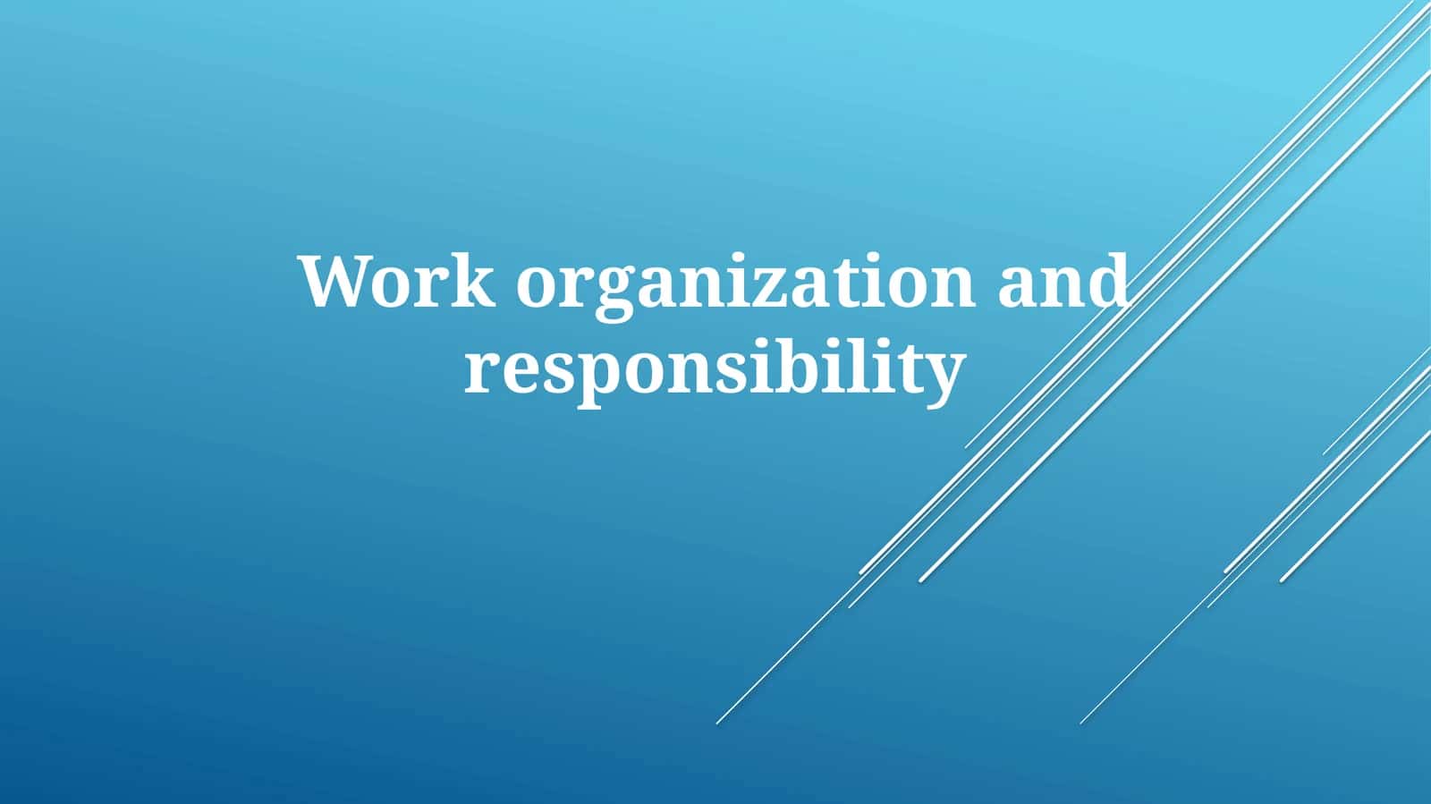Work Organization And Responsibility 1