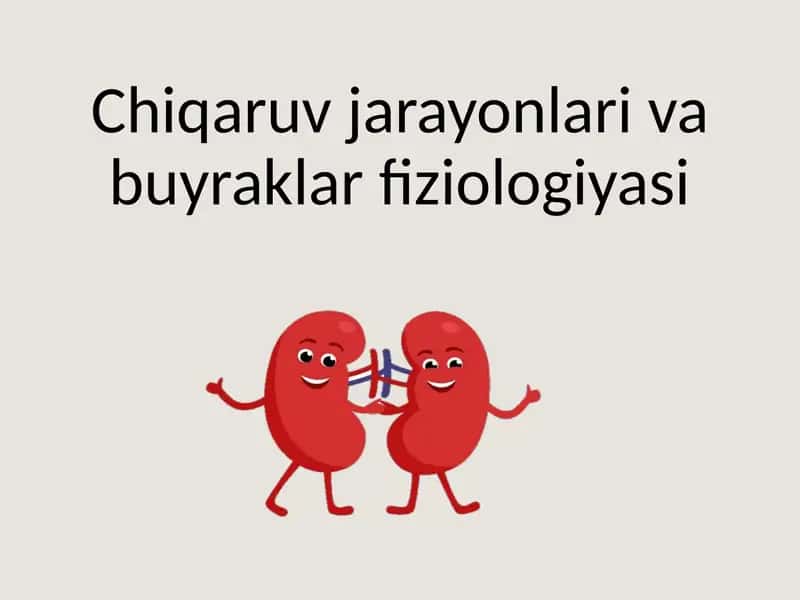 Chiqaruv jarayonlari va buyraklar fiziologiyasi 1