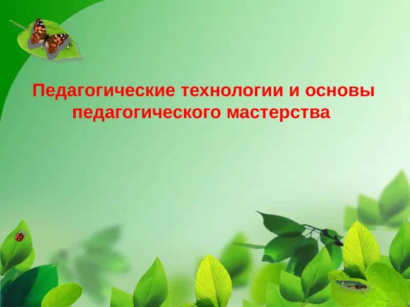 Педагогические технологии и основы педагогического мастерства 1