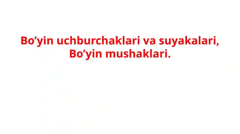 Bo’yin uchburchaklari va suyakalari, Bo’yin mushaklari.
