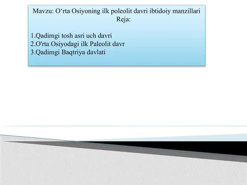 O‘rta Osiyoning ilk poleolit davri ibtidoiy manzillari 1