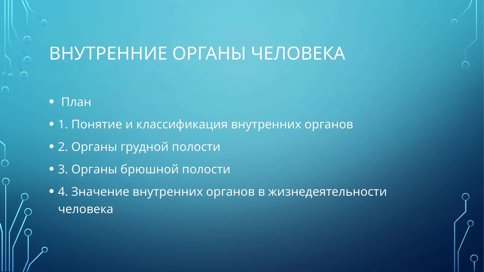 Внутренние органы человека 1