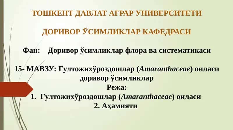 Гултожихўроздошлар (Amaranthaceae) 1