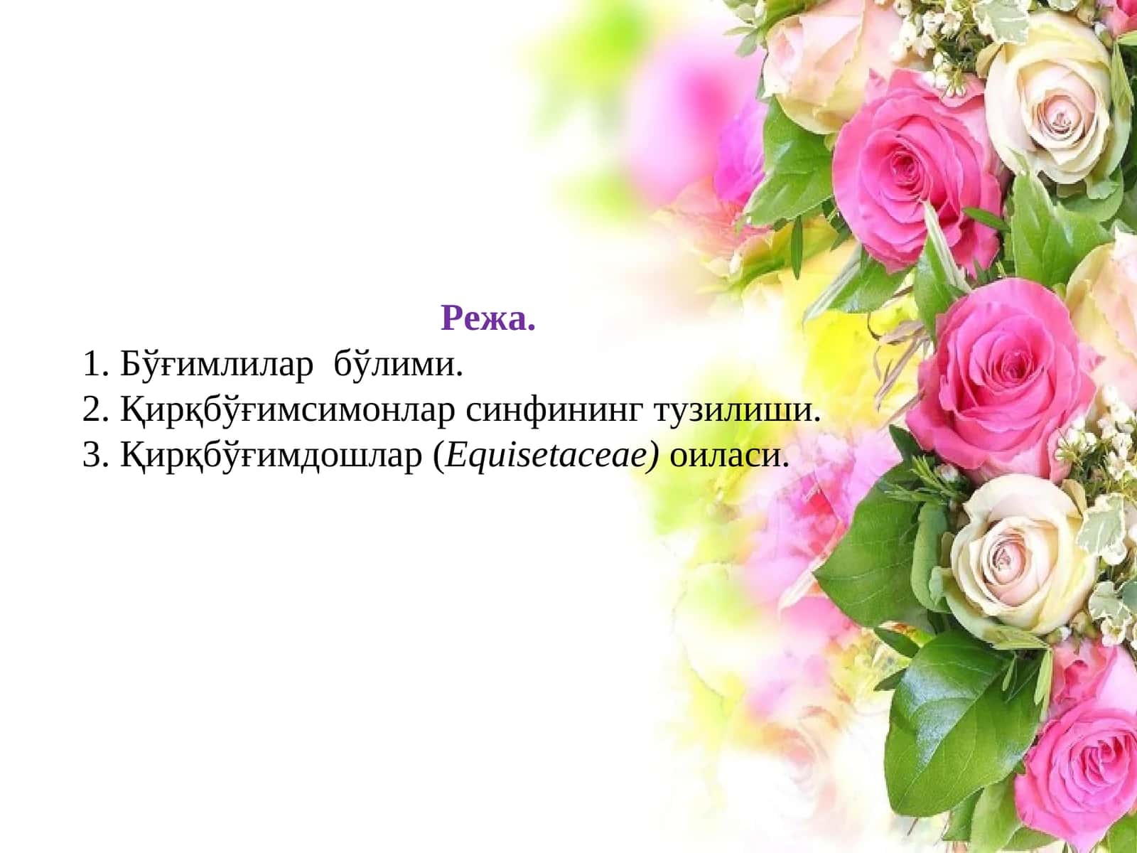 EQUISETACEAE(Қирқбўғимдошлар) оиласи 1