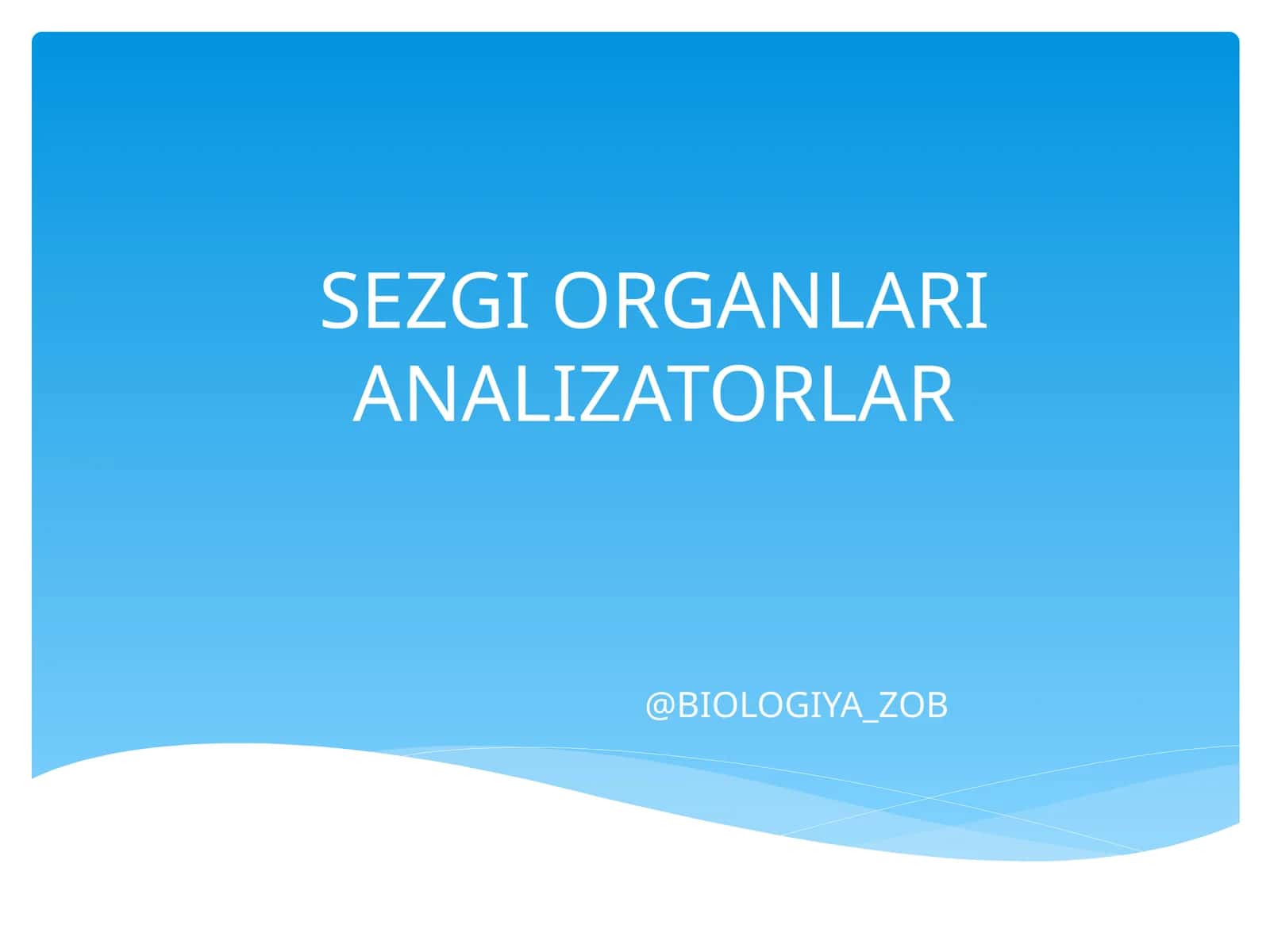SEZGI ORGANLARI ANALIZATORLAR 1