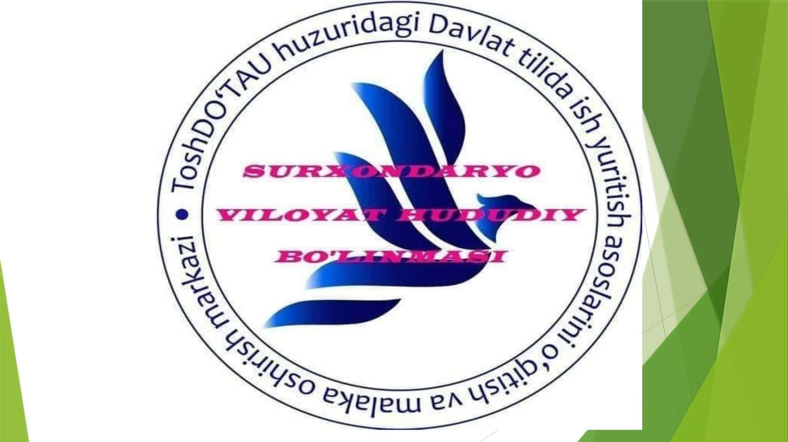 Tushuntirish xati 1