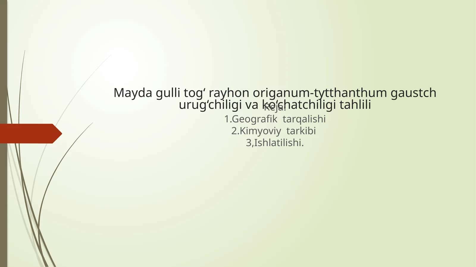 Mayda gulli tog‘ rayhon origanum-tytthanthum gaustch urug‘chiligi va ko‘chatchiligi tahlili 1