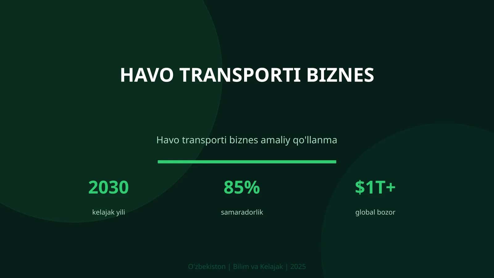 Havo transporti biznes 1