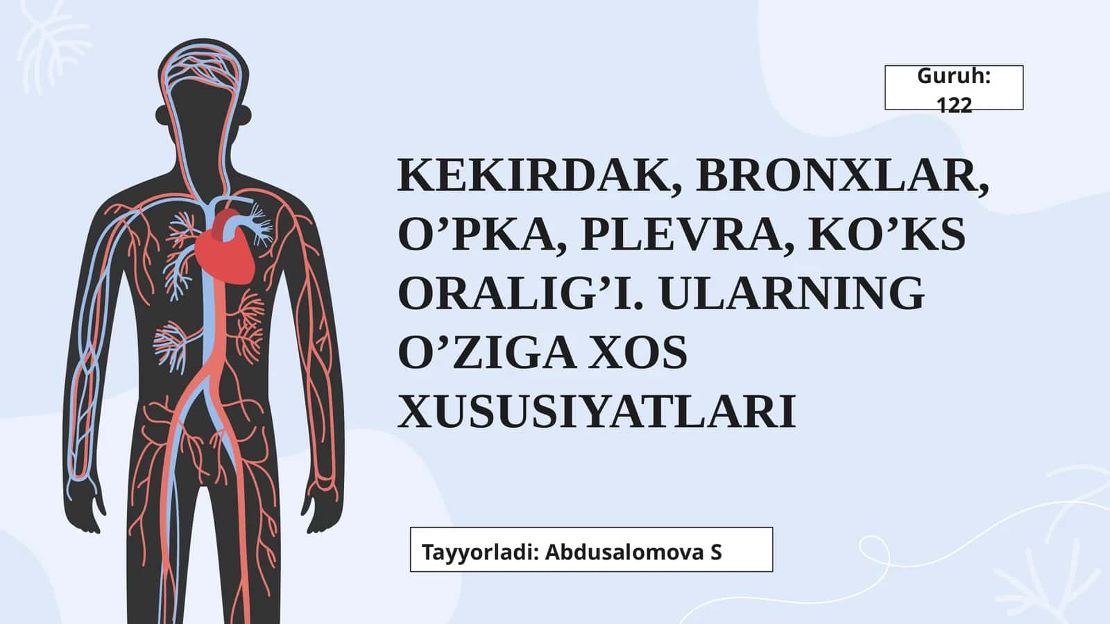 Kekirdak, Bronxlar, O’pka, Plevra, Ko’ks oralig’i 1