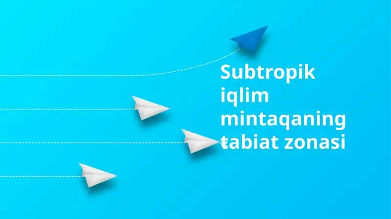 Subtropik iqlim mintaqaning tabiat zonasi 1