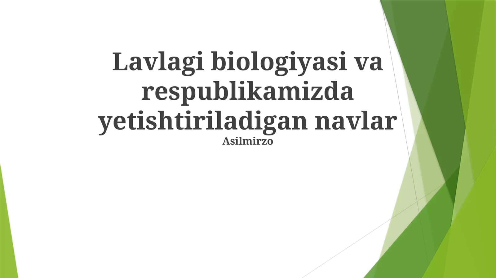 Lavlagi biologiyasi va respublikamizda yetishtiriladigan navlar 1